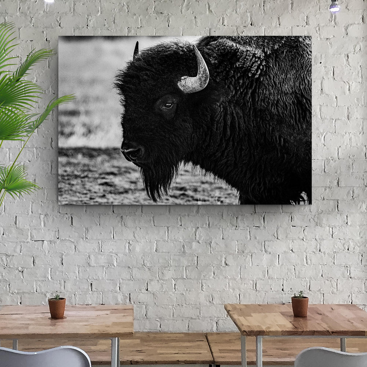 Black and White Bison Canvas Wall Art
