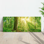 Golden Rays Into The Forest Canvas Wall Art