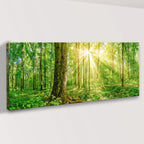 Golden Rays Into The Forest Canvas Wall Art