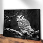 Black And White Owl Canvas Wall Art