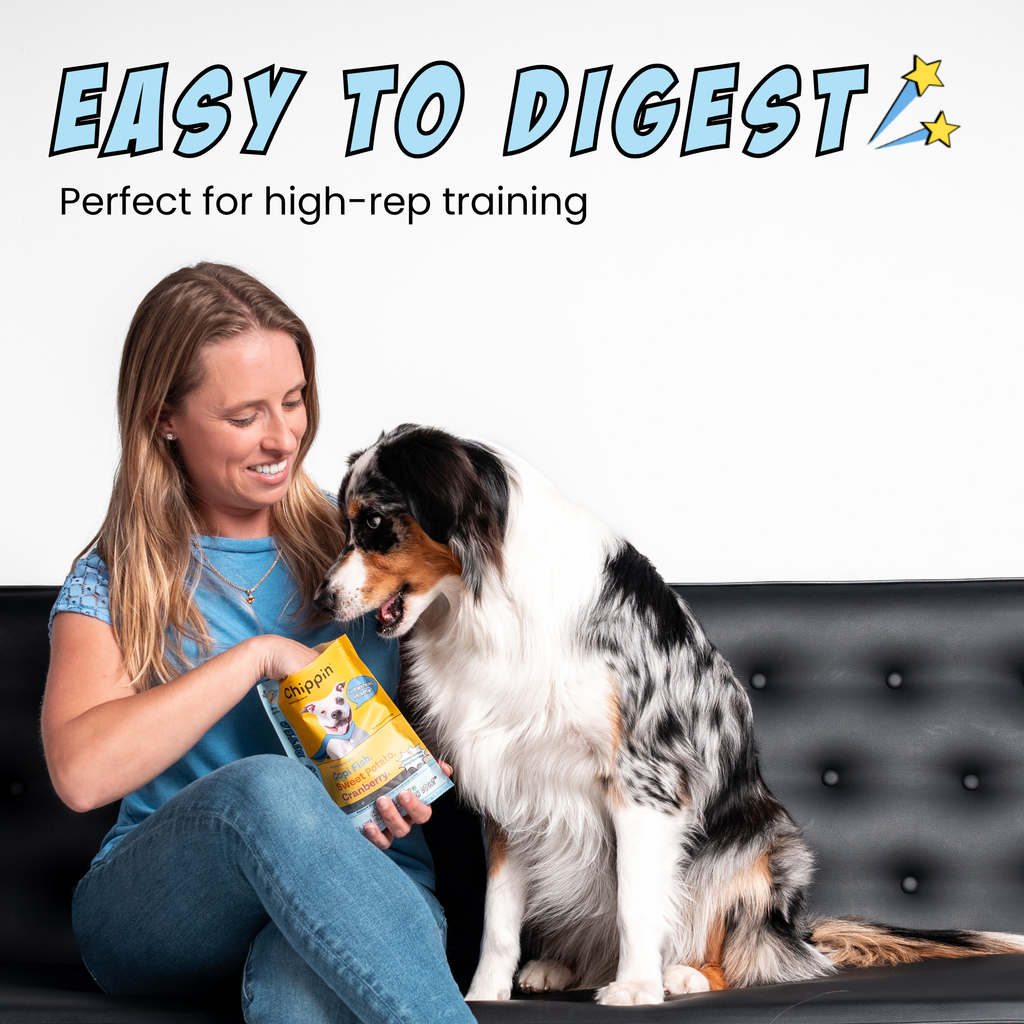 Silver Carp & Sweet Potato Training Bites, 4-Pack