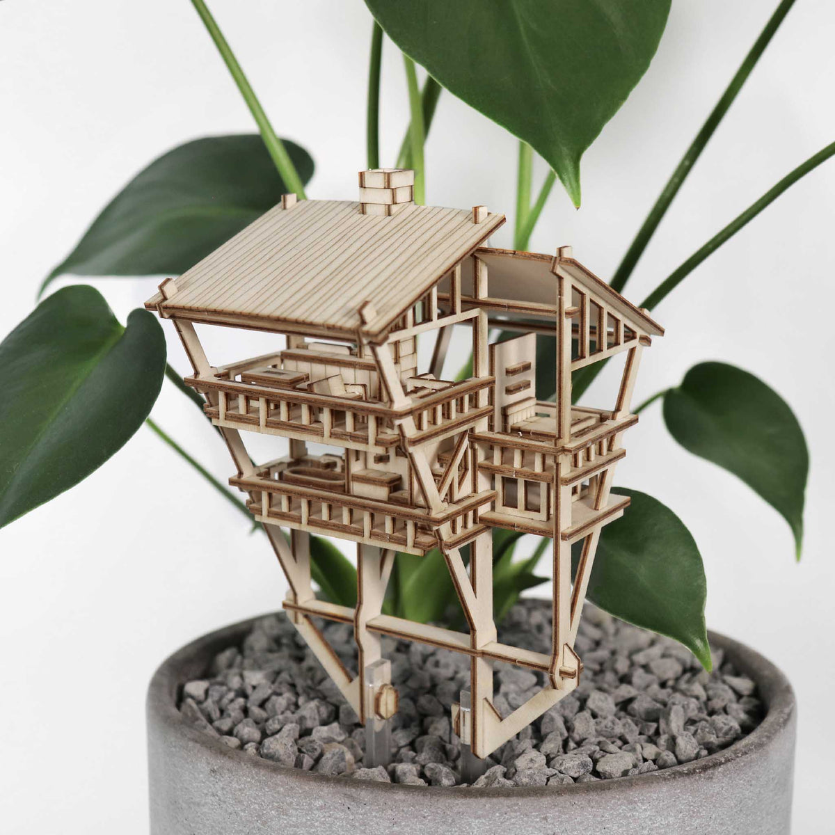 Tropical Lookout + Free USB Timer Light