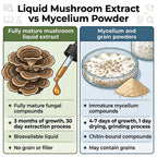 Turkey Tail Mushroom Dual Extract