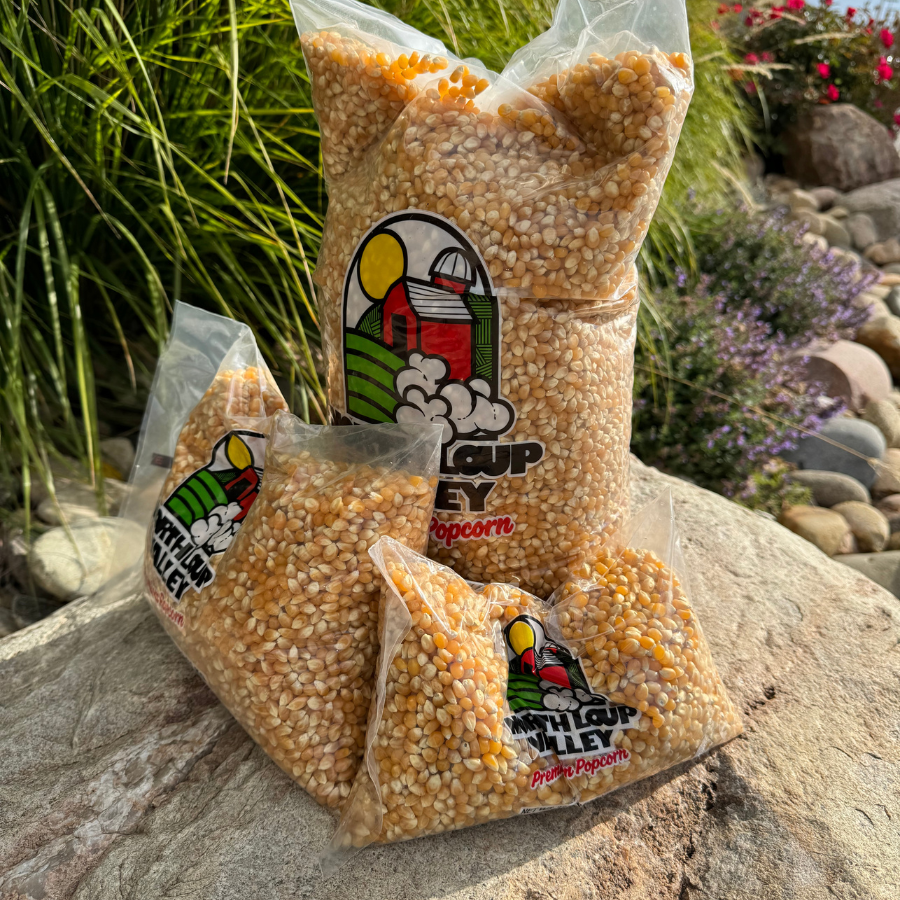 Yellow Un-Popped Popcorn Kernels | Pack of 10 | 2 lb | Non-GMO | Shipping Included | Popcorn County USA | North Loup Valley