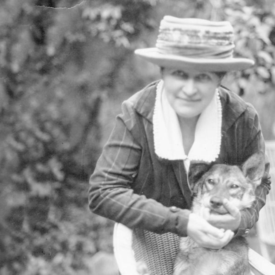 O' Pioneers! by Willa Cather | The Willa Cather Foundation