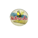 Nebraska State Bird Magnet | Multiple Colors | 1" x 1" | Create