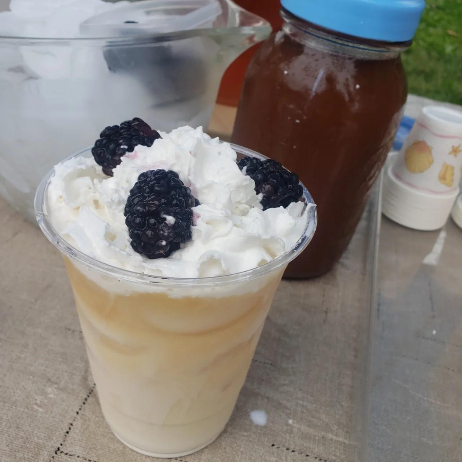Blackberry Tea | Cold Brew Black Tea | 2 Pitcher Bags | Sugar Free | Caffeinated | Tea n More
