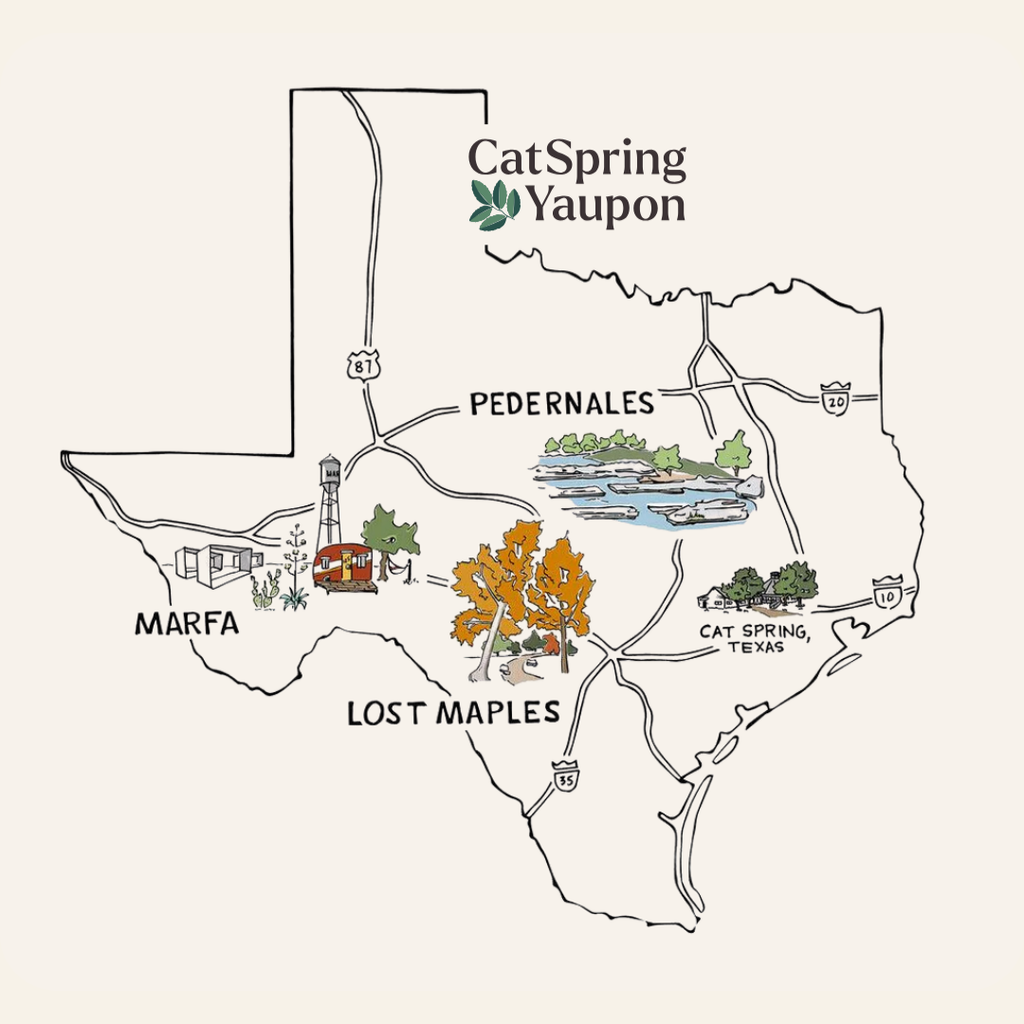 Loose Leaf Yaupon Variety Pack – Green, Medium & Dark Roasts