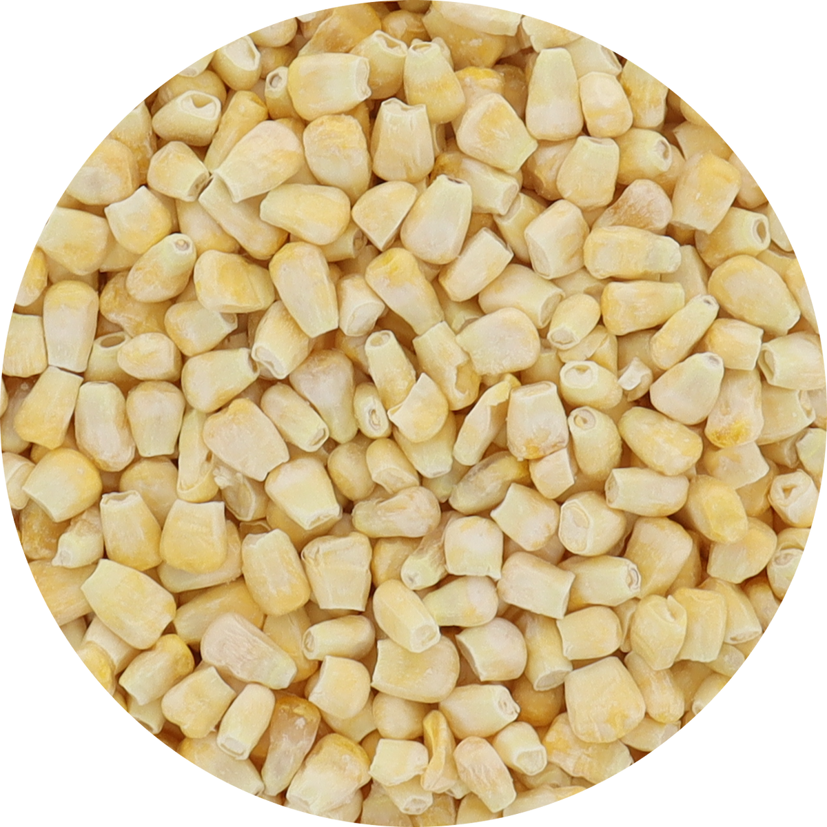 Freeze Dried Corn - Super Sweet