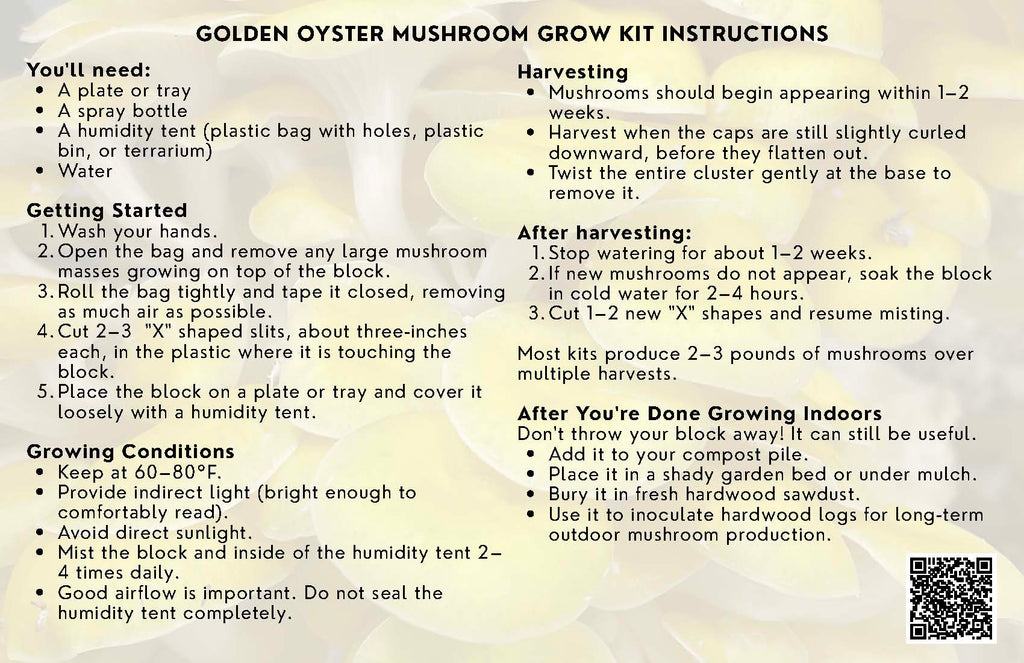 Yellow Oyster Mushroom Grow Kit