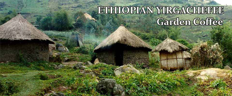 Ethiopian Yirgacheffe