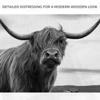 Highland Cow Black And White Portrait Canvas Wall Art
