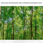 Golden Rays Into The Forest Canvas Wall Art