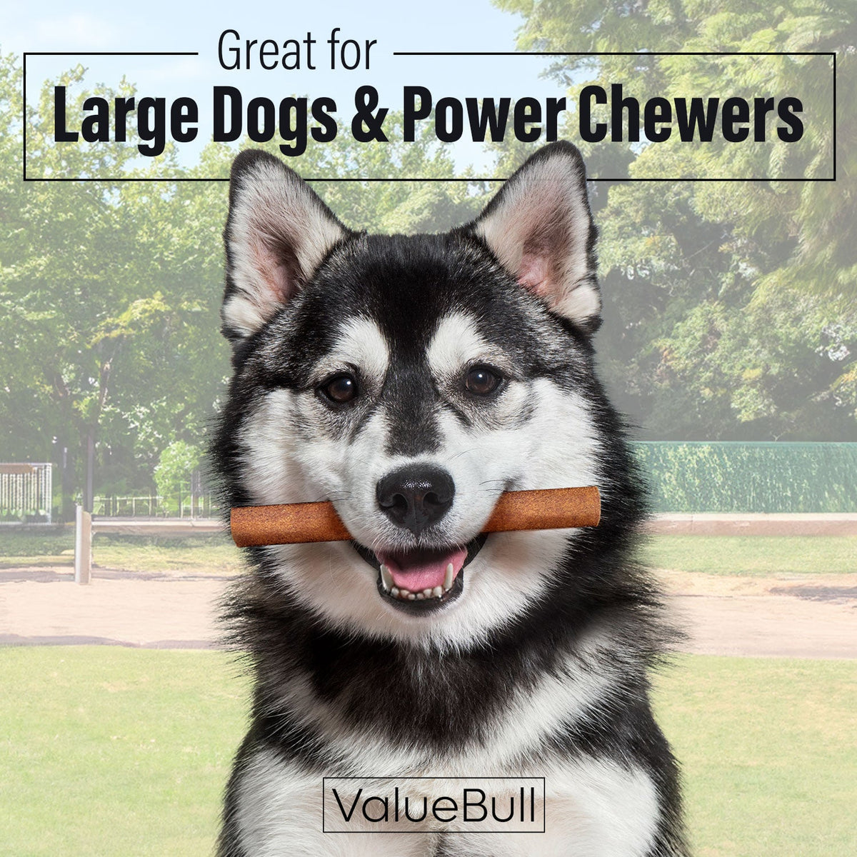 ValueBull Buffalo Collagen Sticks for Dogs, 6 Inch Jumbo Chew, 25 Count