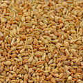 Ajwain Seeds