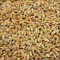 Anise Seeds