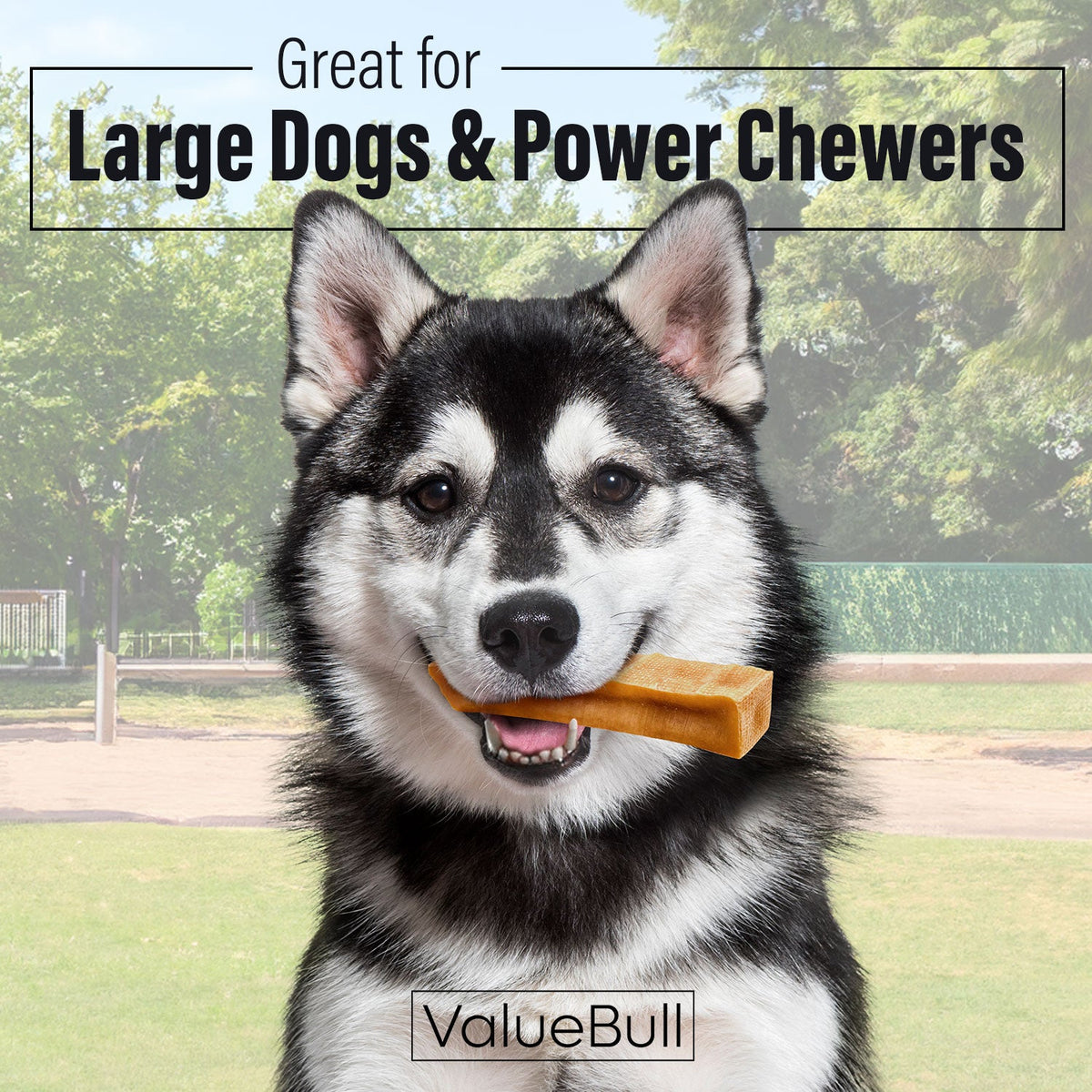 ValueBull Himalayan Yak Cheese Dog Chews, Extra Large, 10 Count