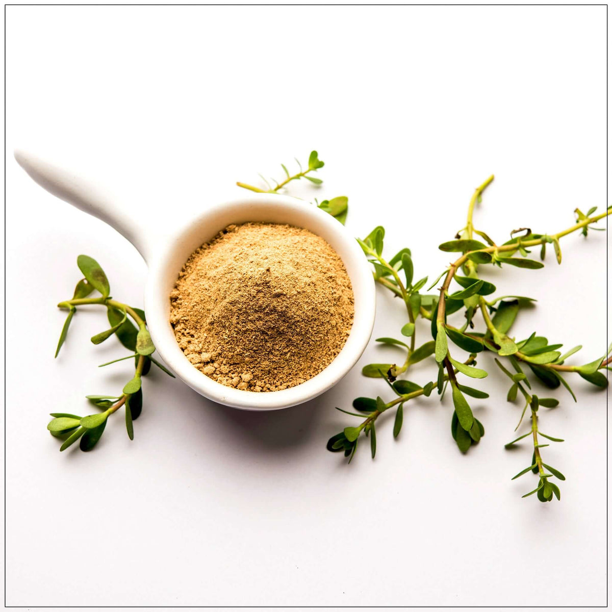 Bacopa Powder