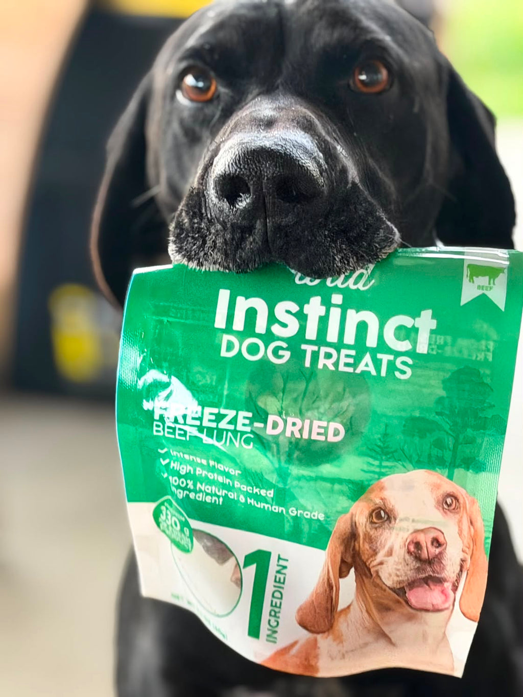 Freeze-Dried Beef Lung for Dogs