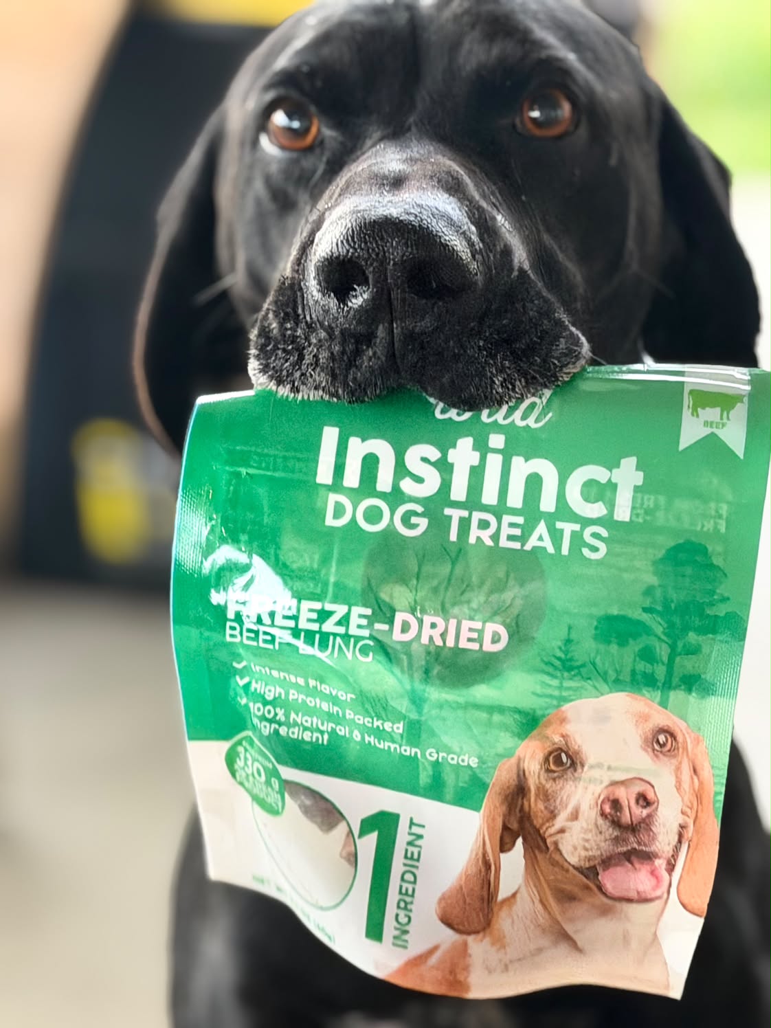 Freeze-Dried Beef Lung for Dogs