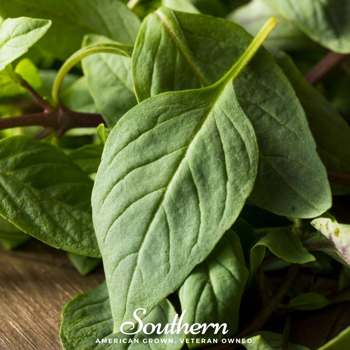Licorice Basil – 250 Seeds