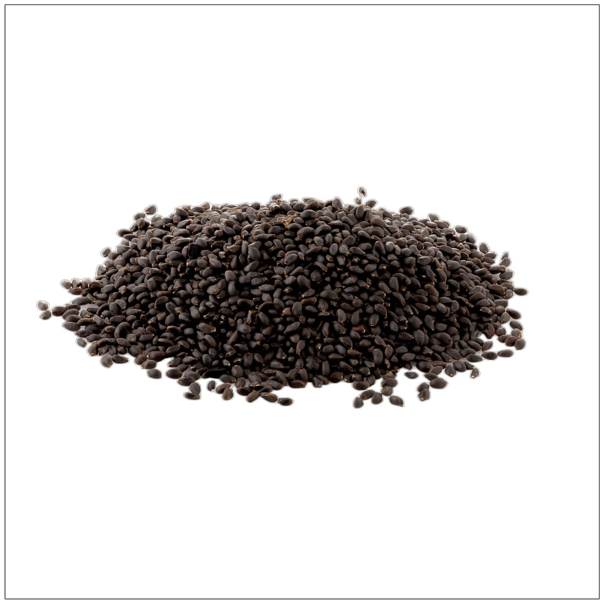 Basil Seeds