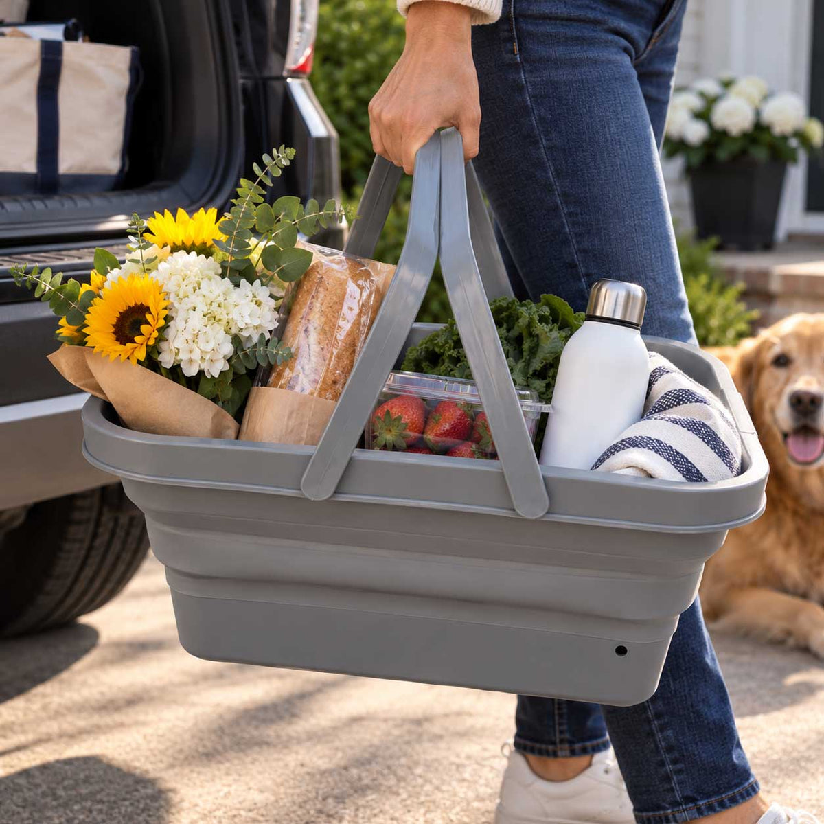 Collapsable Nebraska Cooler | Nebraska Department of Economic Development