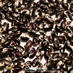Calypso Orca Bean (Bush) – 25 Seeds