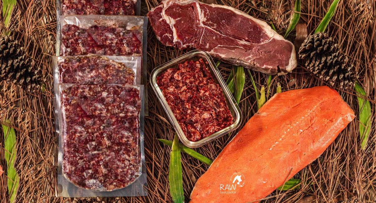 Raw Beef & Wild-Caught Salmon + Veggies w Fruit Meal Blend for Cats & Dogs — Prey Model Raw | Raw Instincts Florida