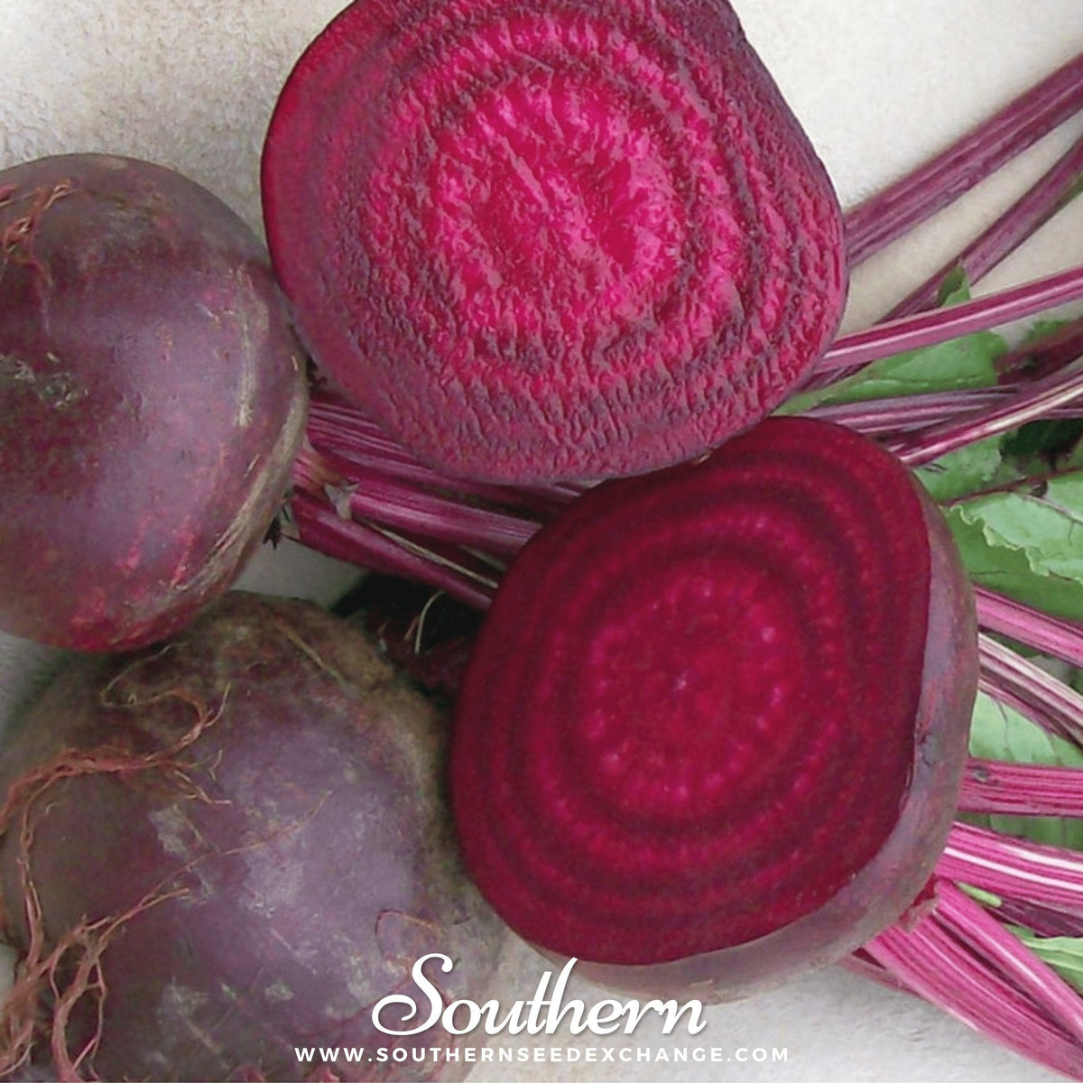 Crosby’s Egyptian Beet – 100 Seeds
