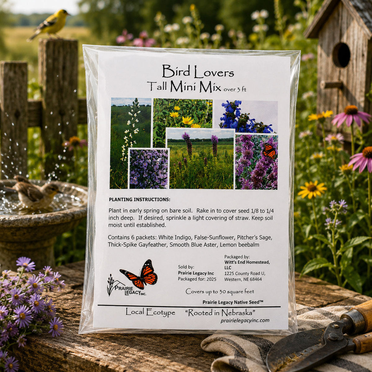Backyard Bird Wildflower XL Bundle | Tall & Short Mini Mixes and Backyard Bird Buffet  | Prairie Legacy Inc.