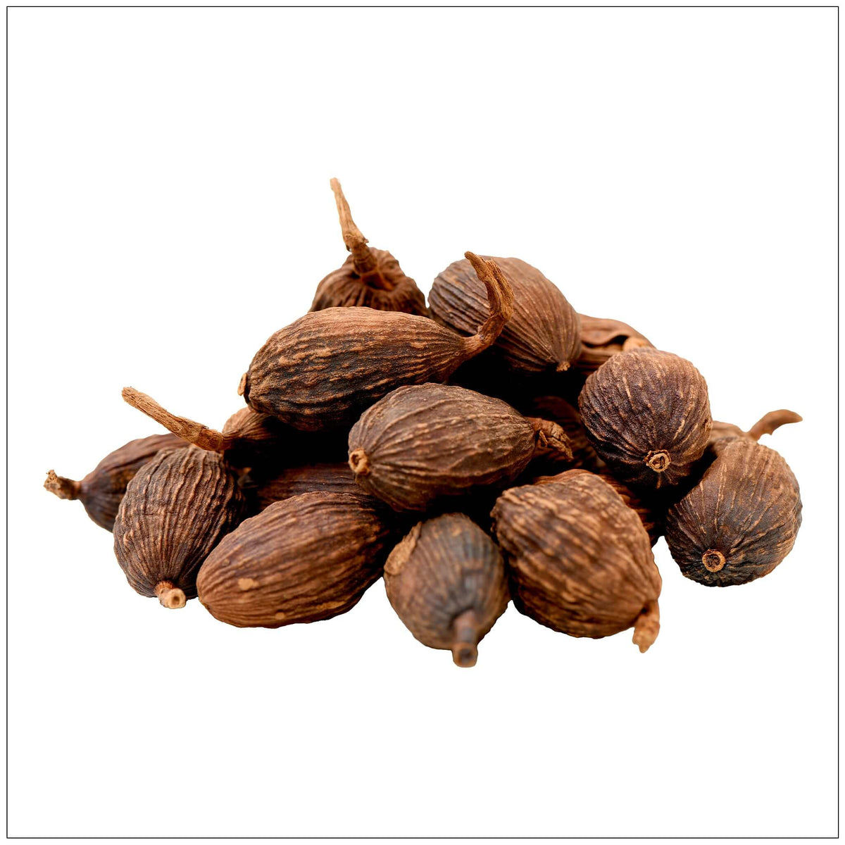 Black Cardamom Pods