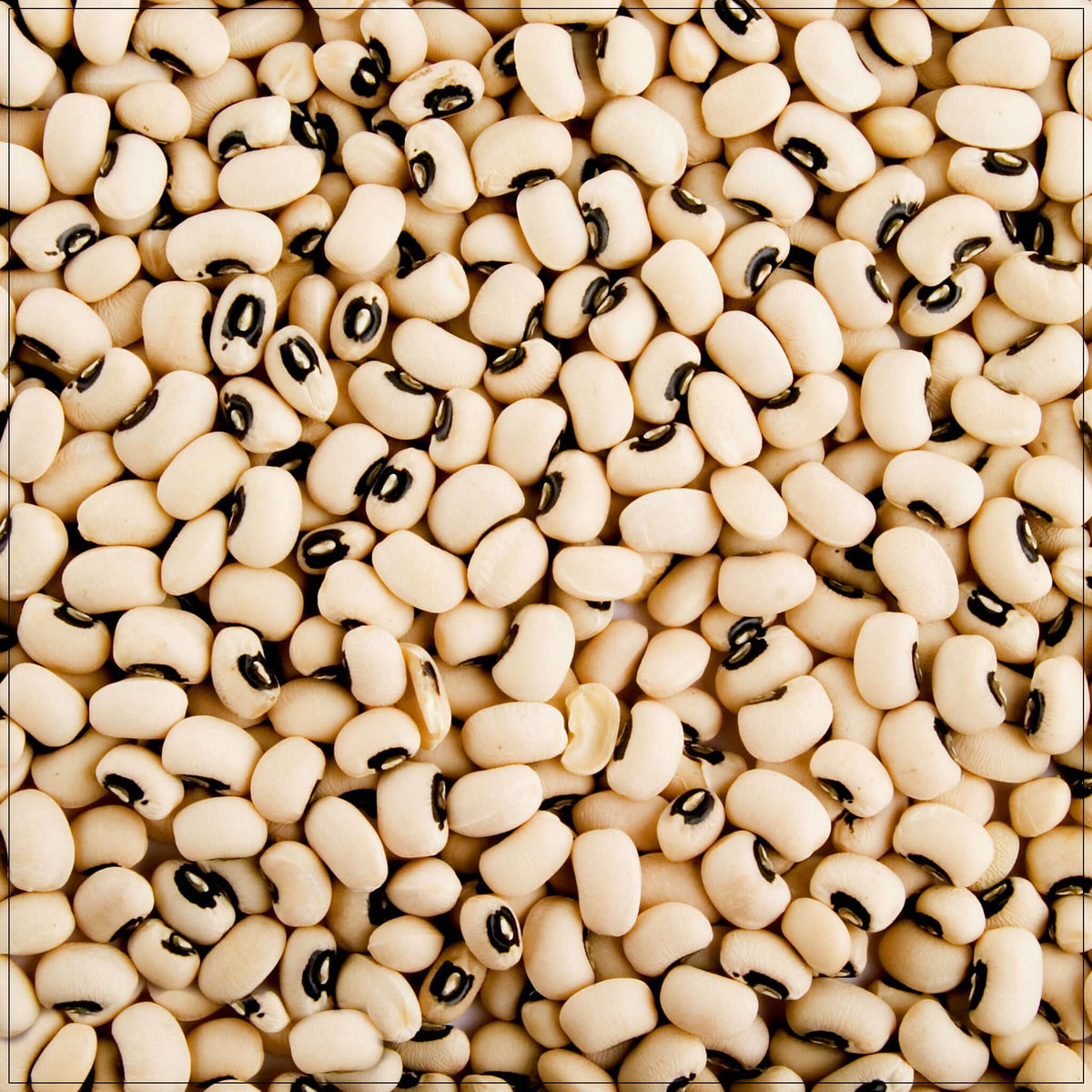 Black Eyed Beans