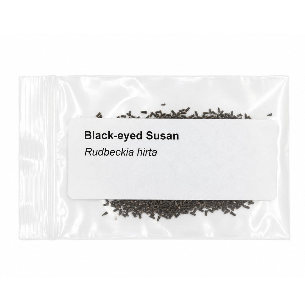 Mini Native Short Salt & Clay Seed Mix | Prairie Legacy Inc.