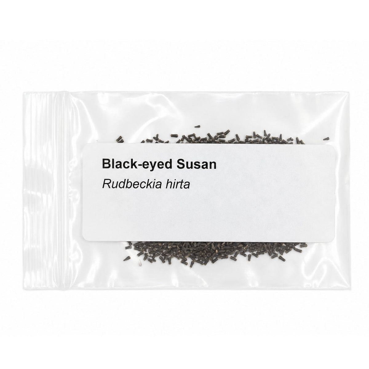 Mini Native Short Salt & Clay Seed Mix | Prairie Legacy Inc.
