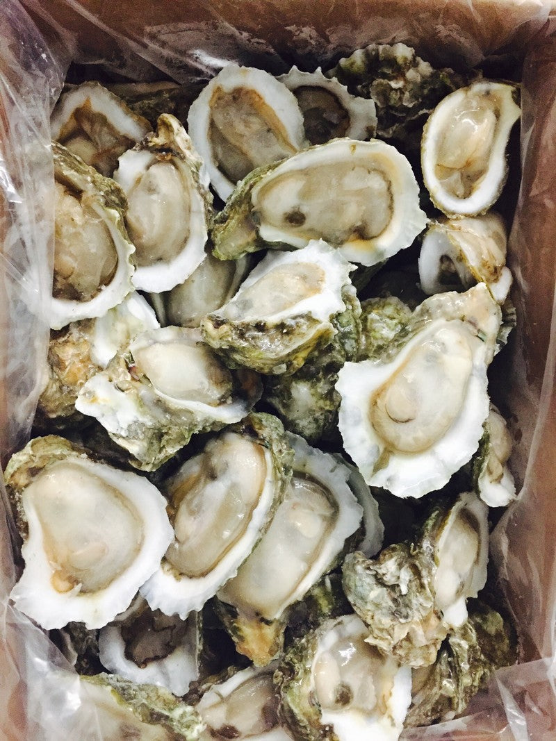 Frozen Half Shell Oysters