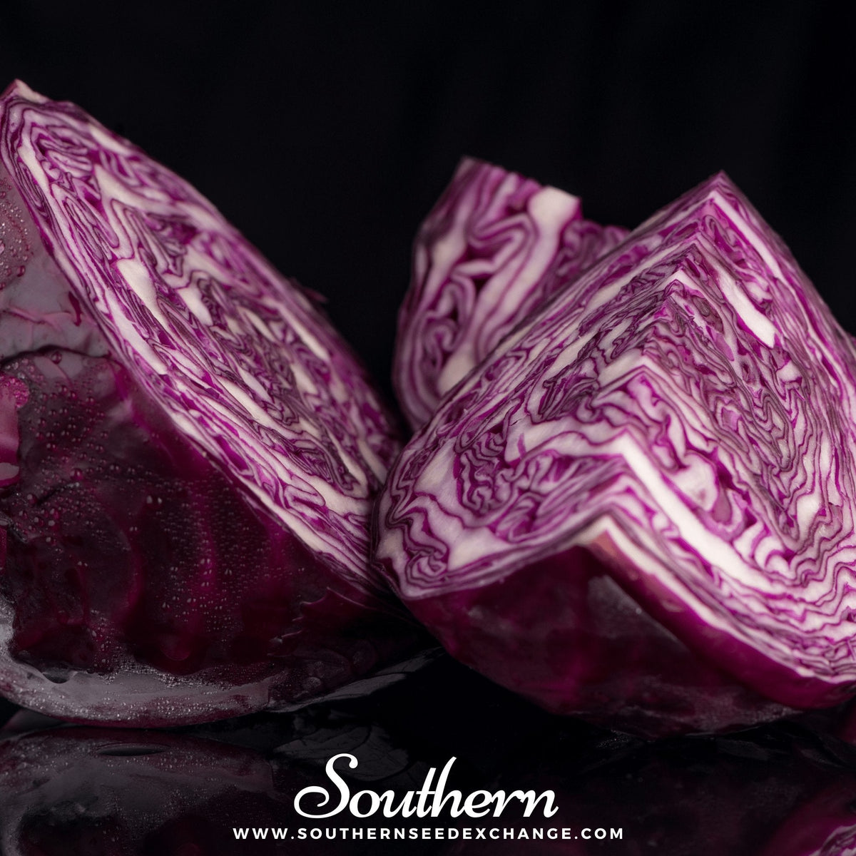Mammoth Red Rock Cabbage – 100 Seeds