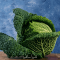 Savoy Cabbage – 100 Seeds