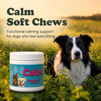 Calm Support Soft Chews for Dogs | Pack of 2 | 60 Chews - 6.35 oz | LivHerbals, Inc.