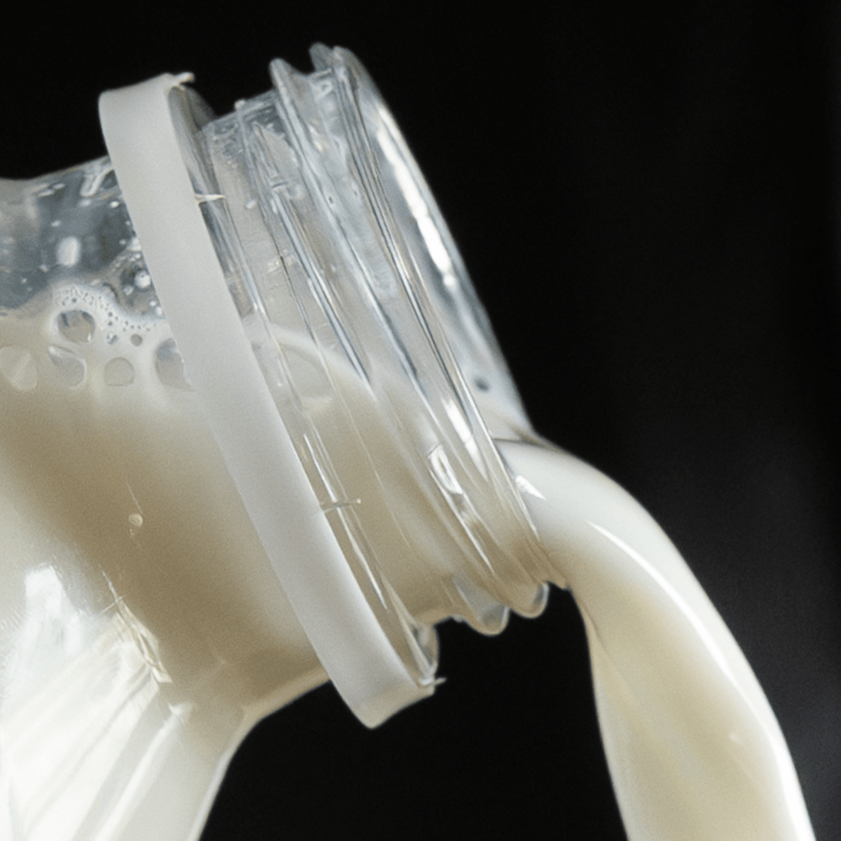 Camel Milk (1 Liter)