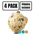 Caramel Chocolate Chunk Oat Milk Ice Cream | Pack of 4 | One Pint | Shipping Included | eCreamery