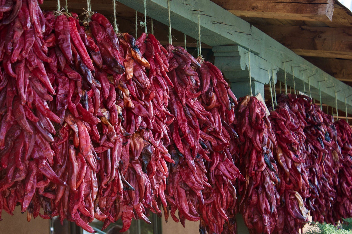 Ristras 24 inches: PRE-ORDER NOW!