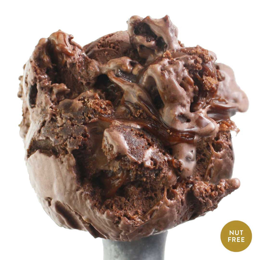 Chocolate Cake Ice Cream | Pack of 4 | One Pint | Shipping Included | eCreamery
