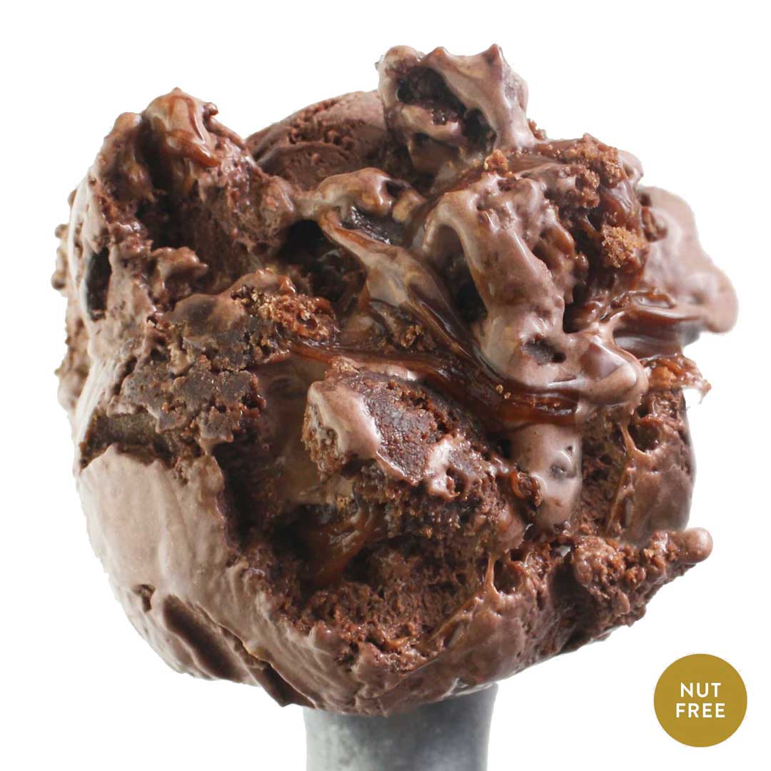 Chocolate Cake Ice Cream | Pack of 4 | One Pint | Shipping Included | eCreamery