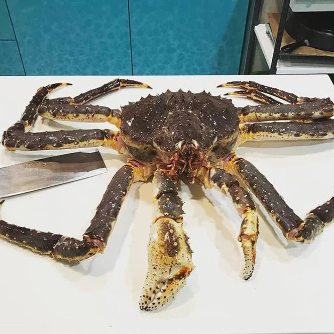 Live King Crab | Whole Crab