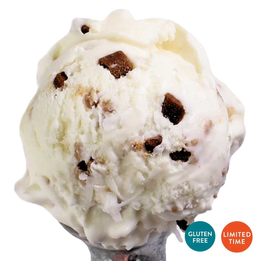 Coconut Chocolate Almond Ice Cream | Pack of 4 | One Pint | Gluten Free | Shipping Included | eCreamery