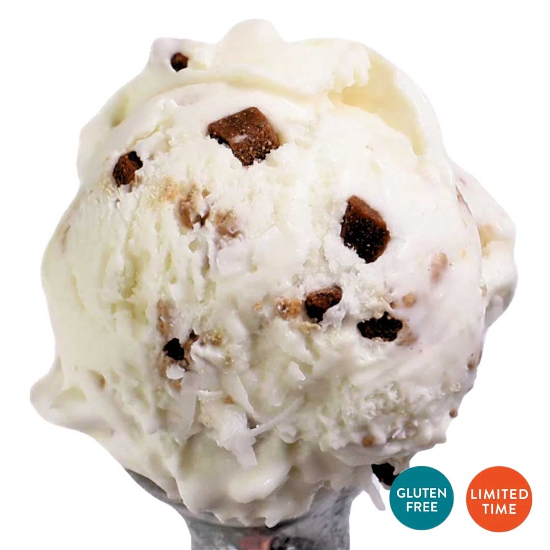 Coconut Chocolate Almond Ice Cream | Pack of 4 | One Pint | Gluten Free | Shipping Included | eCreamery