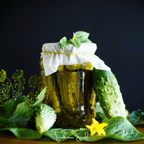 H-19 Little Leaf Cucumber – 30 Seeds