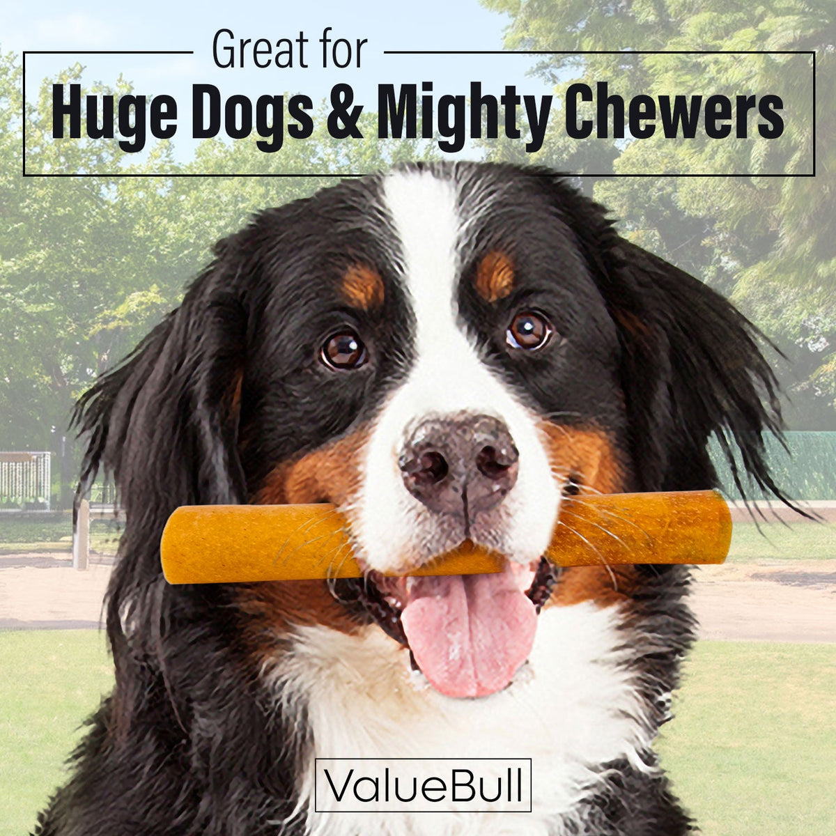 ValueBull Buffalo Collagen Sticks, 6 Inch Super Jumbo Chews, 10 Count