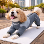 Dog Helios ® 'Tail Runner' Lightweight 4-Way-Stretch Breathable Yoga Dog Tracksuit